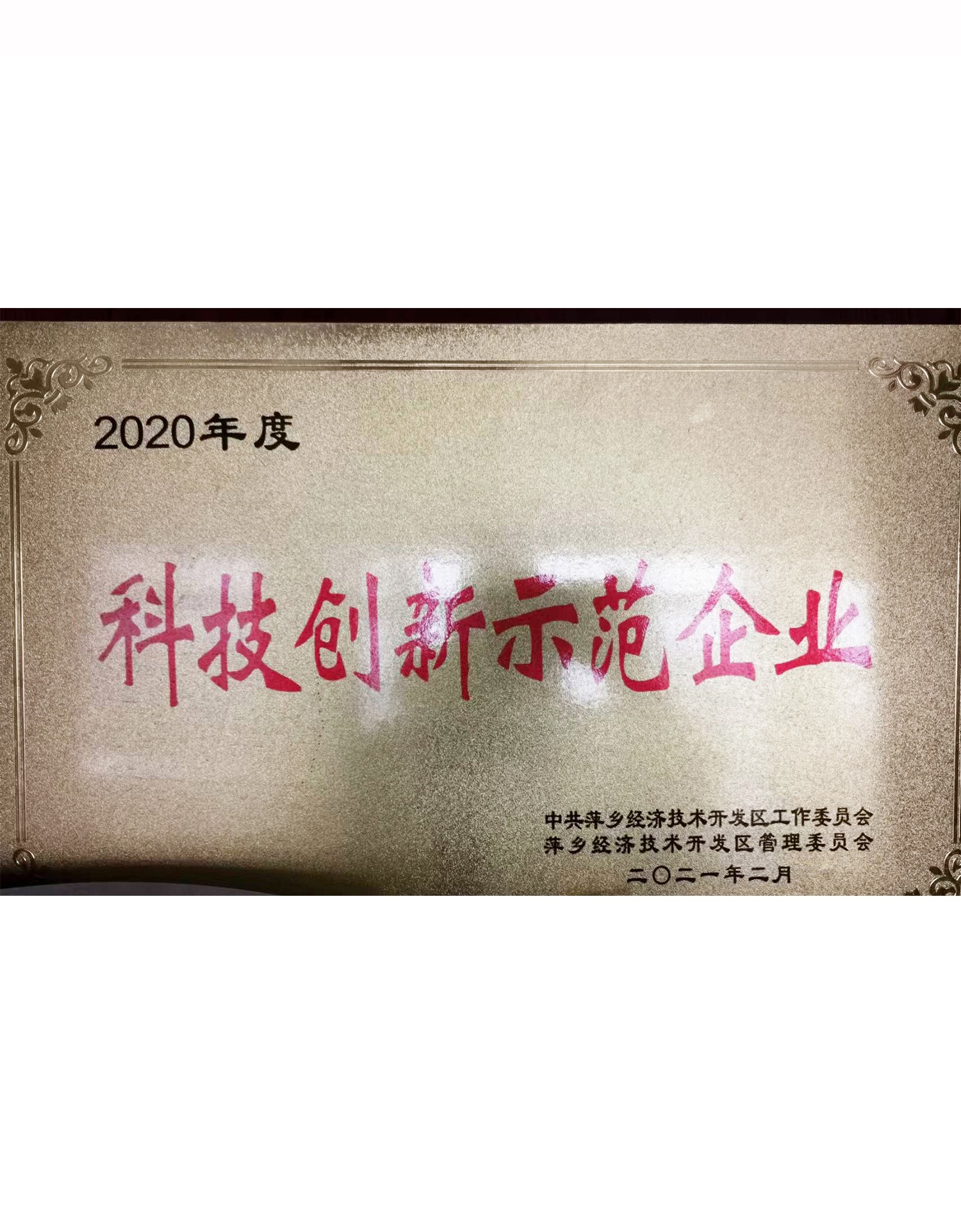 科技創(chuàng  )新示范企業(yè)